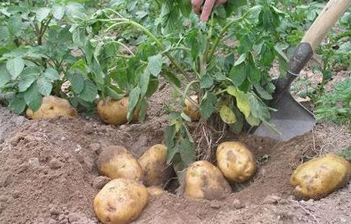 ������������c(di��n)��ʲô����Ҫ�߮a(ch��n)��(y��ng)ԓ���ʩ�ʣ�