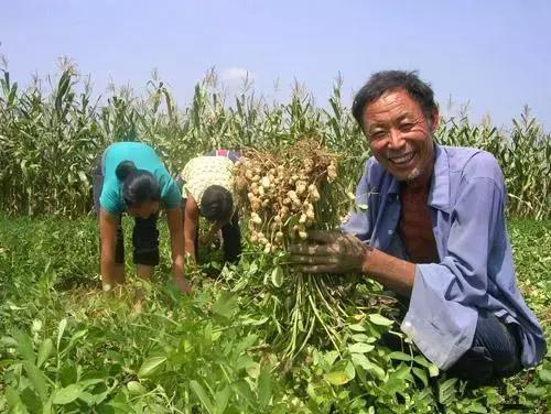 �����~������ķN���^�ã���ԓ���ʹ�ã�