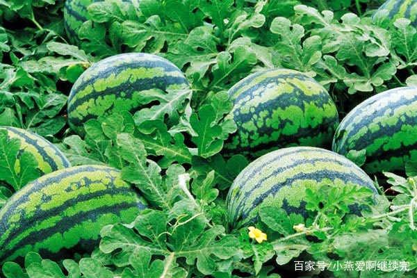 �������������ģ����������������ɻ��ʣ�