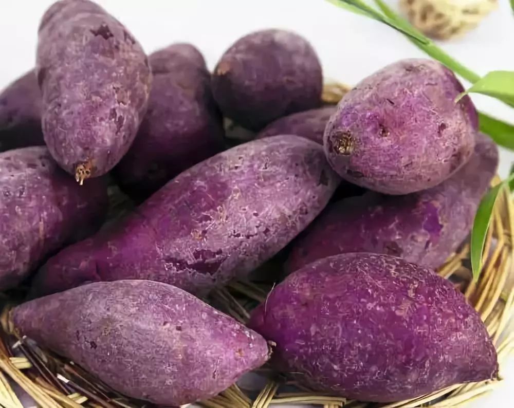 ������Ҫ�߮a(ch��n)��ԓ��ηNֲ����Ҫע��ʲô��