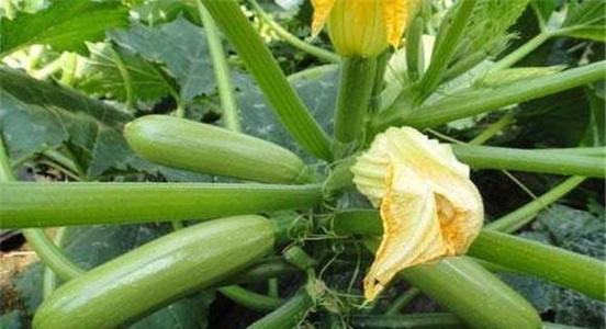 ���������J�������ʲôԭ����ɵģ�ԓ��ν�Q��