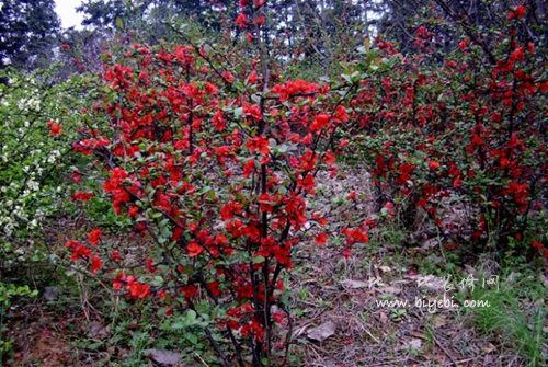 �N�����đ�ԓ���ʩ�ʣ���Ҫע��ʲô��