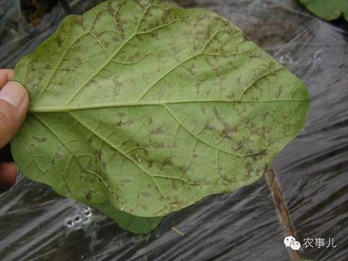 �����~�Ӱl(f��)�S��ʲôԭ����ɵ�����η��Σ�