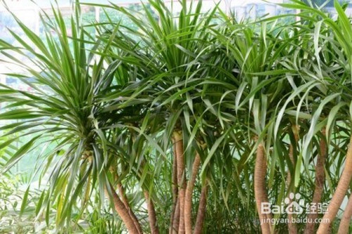 ��Ѫ�䑪ԓ��Ν�ˮ��ˮ����ι�����