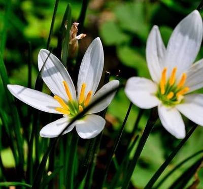 �Nֲ�[�m��ԓ���ʩ�ʣ���Ҫע��ʲô��