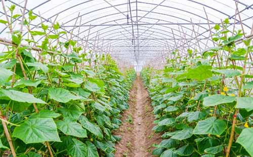 ��������S�ϵ����ס�⛷ʵ�ȱʧ�Д࣬��η��Σ�