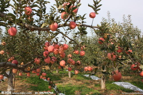 ���·��O���䑪ԓ���ʩ�ʣ�ʩʲô�ʱ��^�ã�