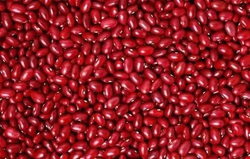 �t��ʲô�r�g�Nֲ���t���Nֲ��������Щ��