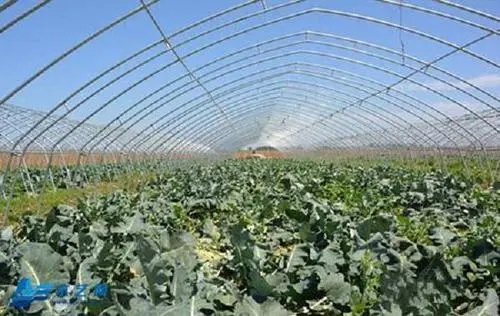 �Nֲ���m����ԓʲô�r��ʩ�ʣ����ʩ�ʣ�