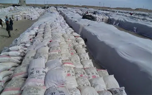 ʲô��⛷���⛷���ʲô������