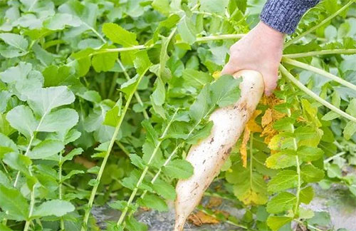 �����}�������@���N����һ��Ҫ����!