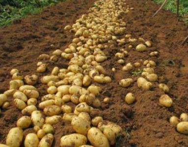 ����ʲô�r(sh��)��ʩ������ôʩ����