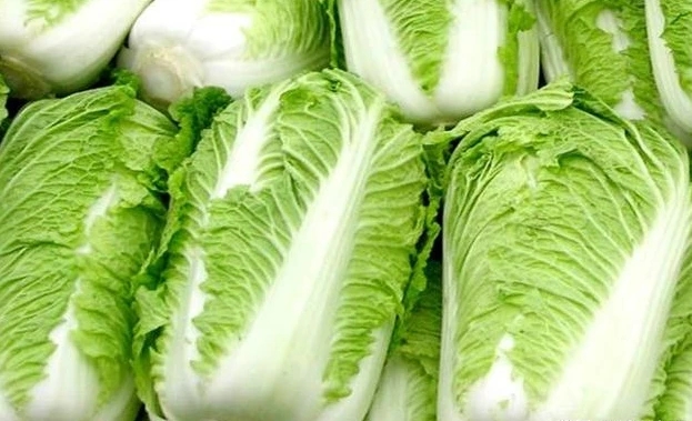 ��ײ˲��պ�ԓ��΃��أ���ײ˷Nֲ�������g��