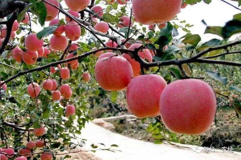 2021���ﶬ���O���ƌW(xu��)ʩ�ʼ��g(sh��)��Ҋ