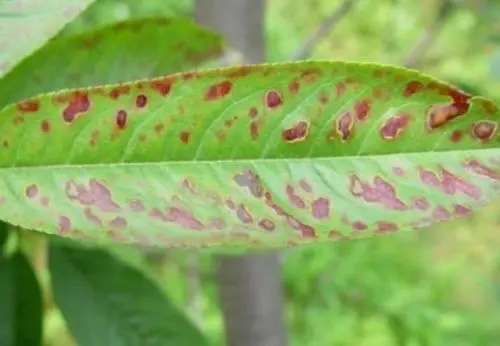 �Ҙ�ʲô�r��ʩ�ʺ����Ҵ��ײ���η���