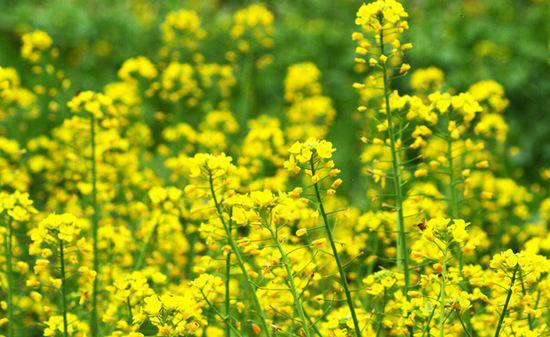 �����L�����ζ��Ͳ����ʩ��ʩ�ʣ�������ʲô��