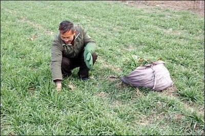 ����С�����ʩ�ʣ�С����ʲôҪ����ˮ��