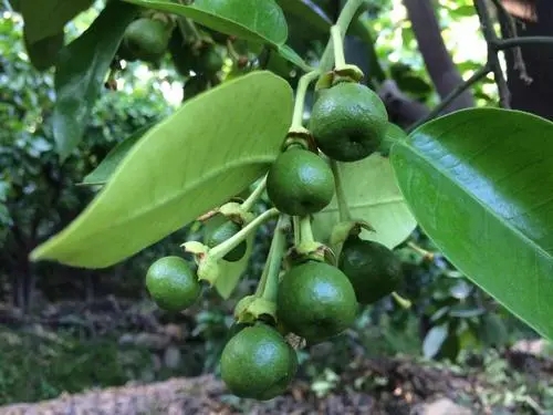 ��������ʩ�ò���Σ����ʲô��������_ʩ������