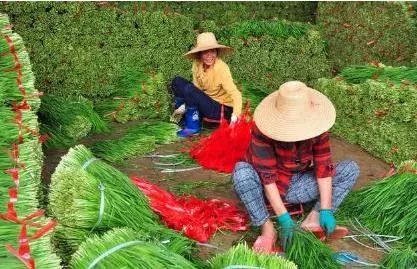 �²ˑ�ԓ���ʩ�ʣ��x�÷ʺ���Ҫ��