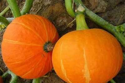 �Ϲ���Ҫ�߮a�ֺóԣ���ԓ���ʩ�ʣ�