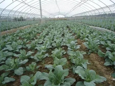 ���m����ι�����ˮ�����m���Ĺ������ɣ�