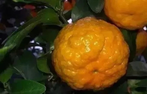 ���پ��~��ԭ����ʲô������Щ���η�����