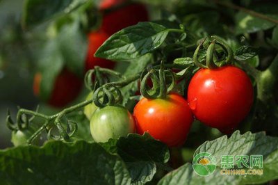 ������κ���ʩ�ʣ��ƌW(xu��)ʩ�}���h(yu��n)�xĚ������