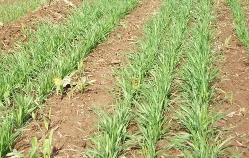 С�������ںͰι��ڑ�ԓ���ʩ�ʣ�