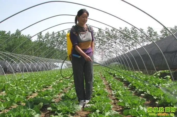 �߲ˇ�ʩ΢�ʑ�ԓע��ʲô���߲�΢�ʇ�ʩ���g��