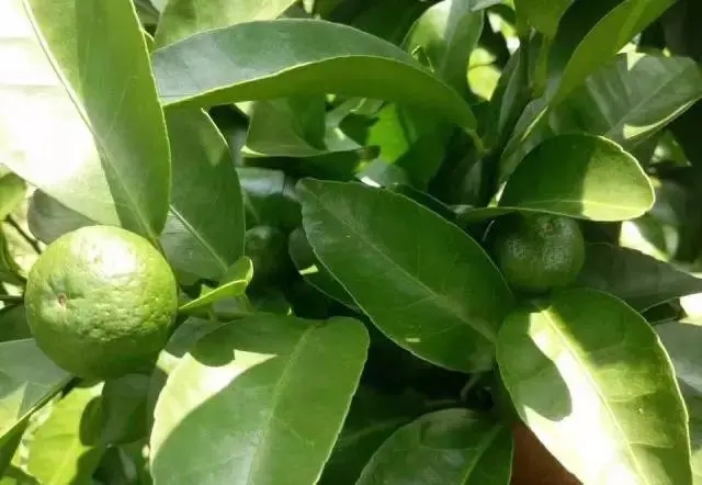 ������ʵ�������ʲô������ʩ���ʩ�ʼ�����