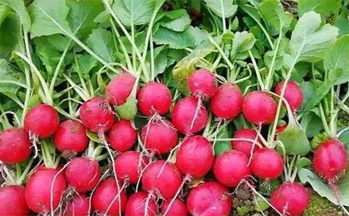 �����}��Ҫ�@�Ã��|�߮a�������a��Ҫ���c�����@4�c