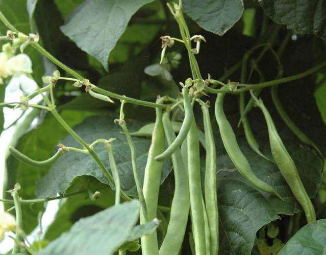 �|�������ʩ�ʵģ��|��ʩ�ʼ��g��