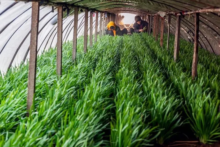 �²˵�������c��ʲô����νo�²�ʩ����