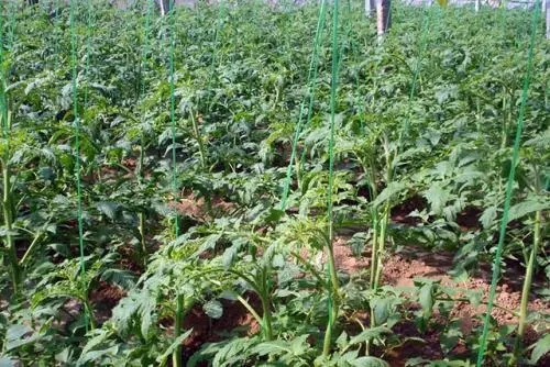 �����~��ʺΕr׷�ʺã���νo����׷ʩ�~��ʣ�