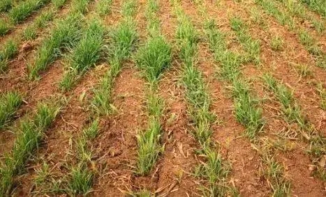 С�����L��ʲôԭ������Щ����������