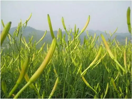 �S�������ʩ���ʣ��S���˿ƌW׷�ʼ��g(sh��)