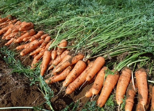 ���}�����ʩ�ʣ����}����߮a��ʩ�ʼ��g