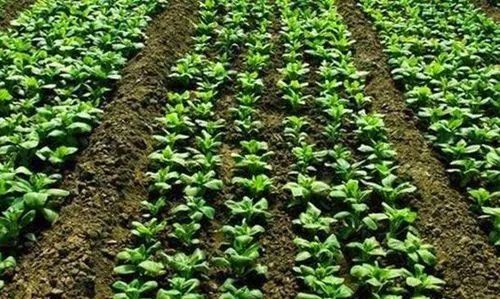 �������ʩ�ʣ�����������c(di��n)��ʲô��