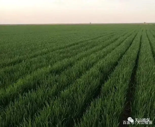 ��С�����ʩ�ʣ�С����ʵ����c(di��n)��ʲô��