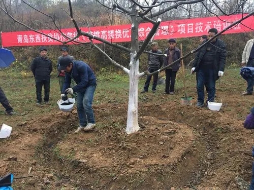 ���Ҙ�����ʩ�ʣ����Ҙ��ʩ�ʷ�����ʲô��