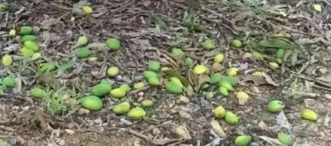 ����¶�غʹ���������ԓ���ʩ�ʣ�