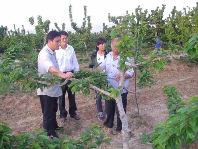 ���Ҙ�Εrʩ�ʺã�ÿ���ʩ�����Ƕ��٣�