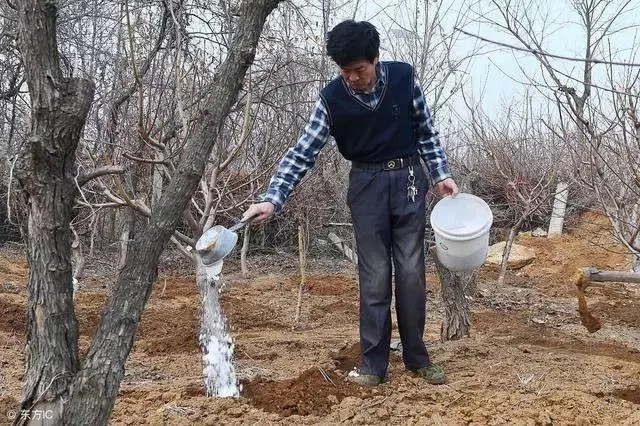 ��������ʩ�ʣ������ʩ��Ҫ�c��