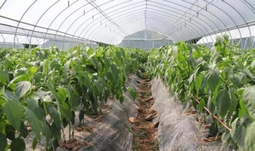 �������L������ôʩ�ʣ�����ˮ�ʹ�������