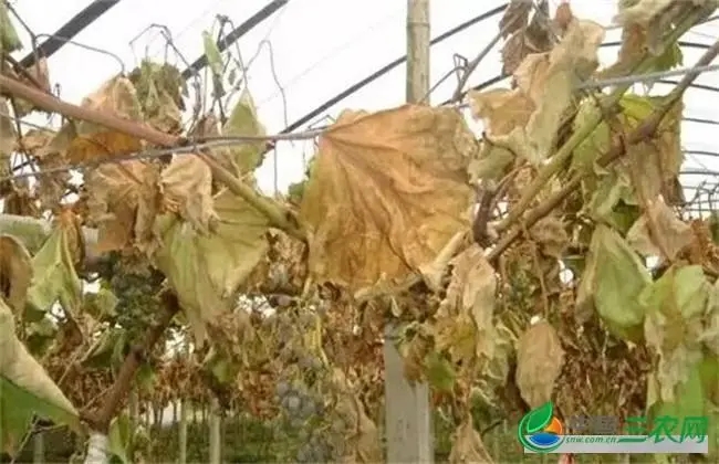 ����(sh��)�ʺ�ԓ��ô�k������(sh��)�ʺ��A(y��)����ʩ��ʲô��