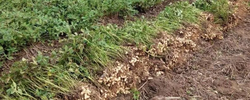 �������ʩ���ʺͷN�ʣ�������׷�ʼ��g��