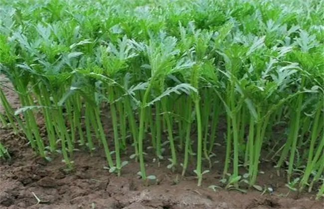 �������ʩ���ʣ�����׷�ʑ�(y��ng)ԓ���׷�߮a(ch��n)��