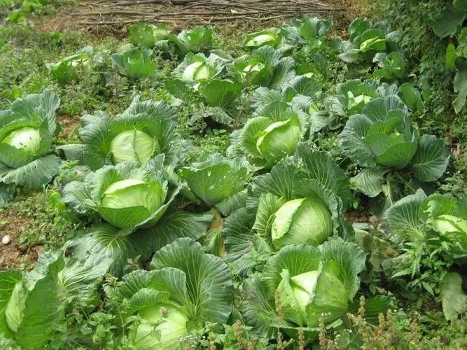 �Y(ji��)����{ʩ�����c��ʲô��ԓ���ʩ�ʣ�