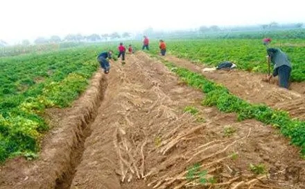 ɽˎ������c��ʲô����νoɽˎʩ�ʸ߮a��