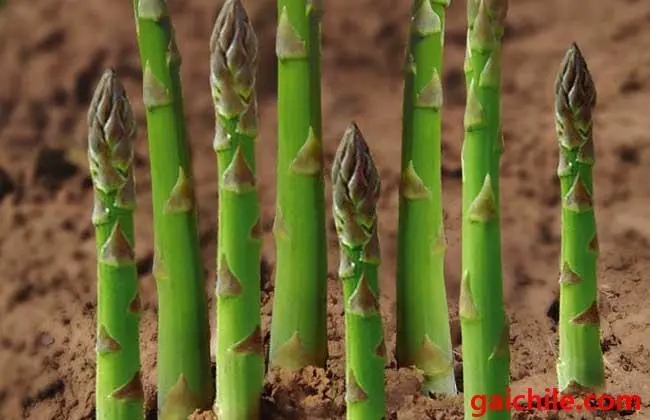 �J�Sʲô�r(sh��)�g���У�����Щ�Nֲ�l����